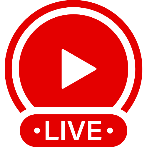 What Is Bbwcupid | Live Webcam Shows & Interactive Adult Entertainment